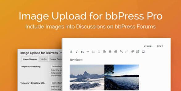 Image Upload for bbPress Pro v2.1.33破解版（独家汉化版）插图