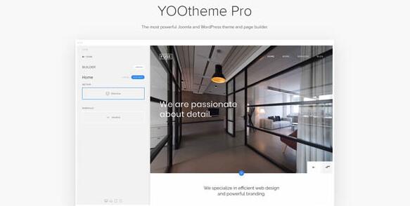 YOOtheme Pro v4.4.20激活版 – WordPress主题和页面生成器插图