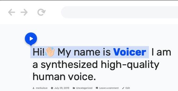 Voicer v3.3.0 – WordPress文本转语音插件插图