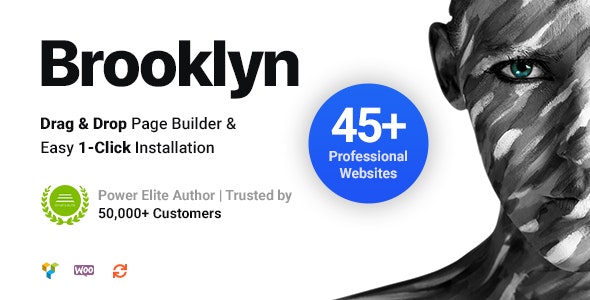 Brooklyn v4.9.7.6破解版 – WordPress多功能企业主题插图