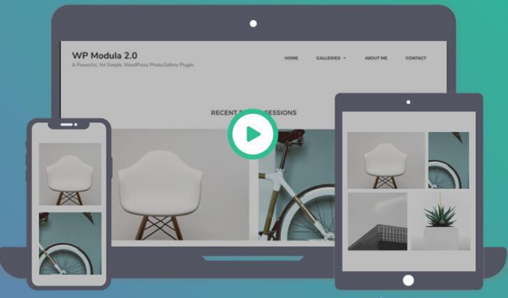 Modula Pro v2.8.7 + Addons – WordPress画廊插件插图