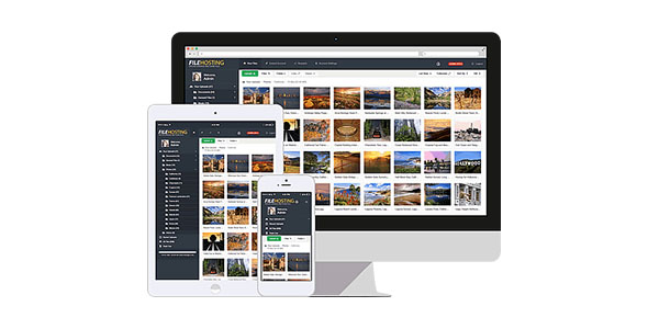 Yetishare File Hosting Script v5.6.0（已汉化73%） – 文件托管源码插图