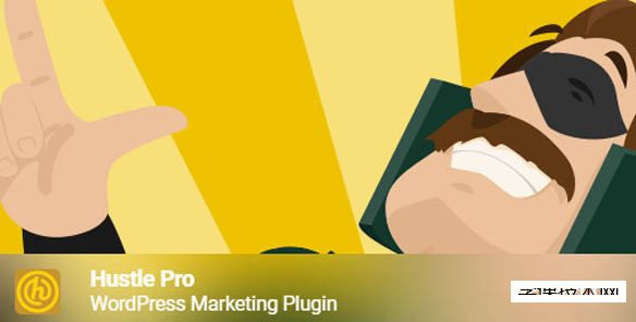 Hustle Pro v7.8.6 – WordPress营销插件插图