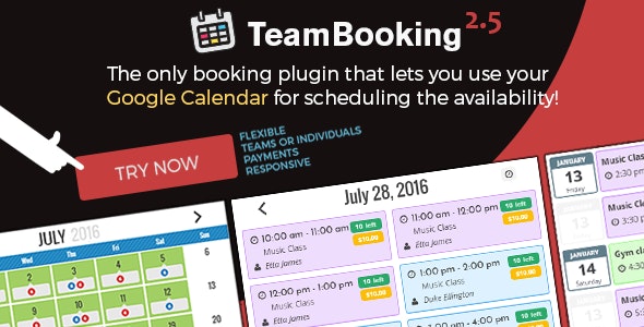 Team Booking v3.0.8(已汉化) – WordPress预订系统