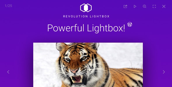 Revolution Lightbox WordPress Plugin v2.0 – WordPress幻灯片插件插图
