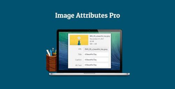 Auto Image Attributes Pro v4.5 – WordPress 插件插图