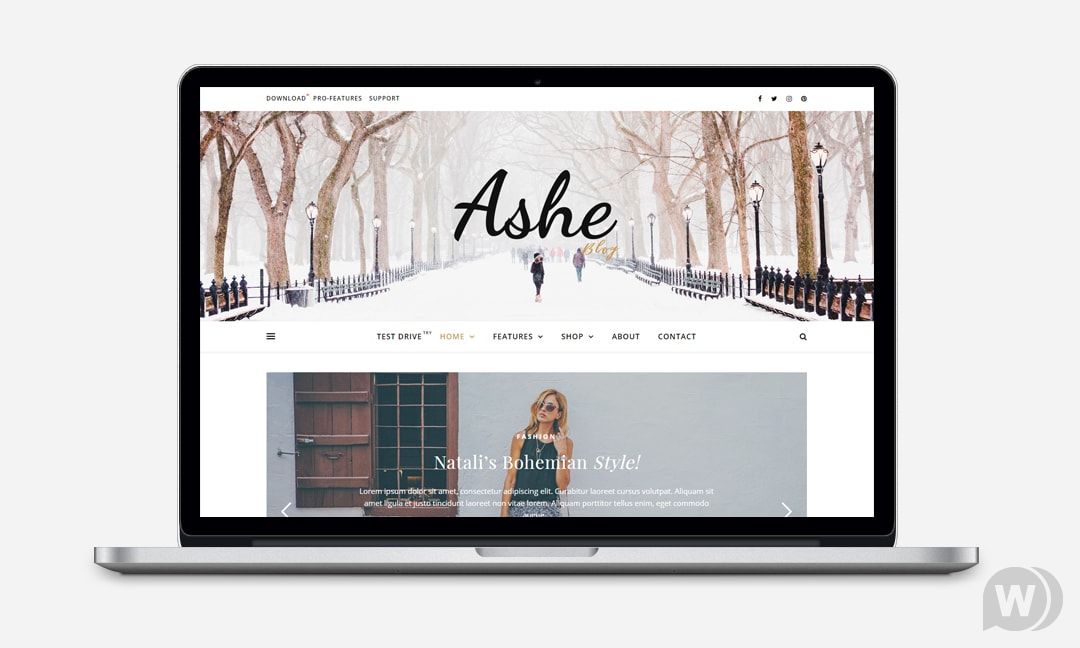 Ashe Blog Pro v3.5.3（已汉化） – WordPress博客高级模板插图