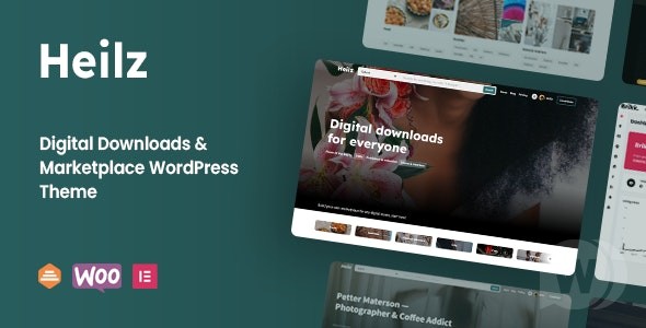 Heilz v2.0.1(已汉化80%) – Digital Goods WordPress 主题