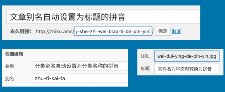 解决WordPress中文Tag标签404错误的问题插图(1)