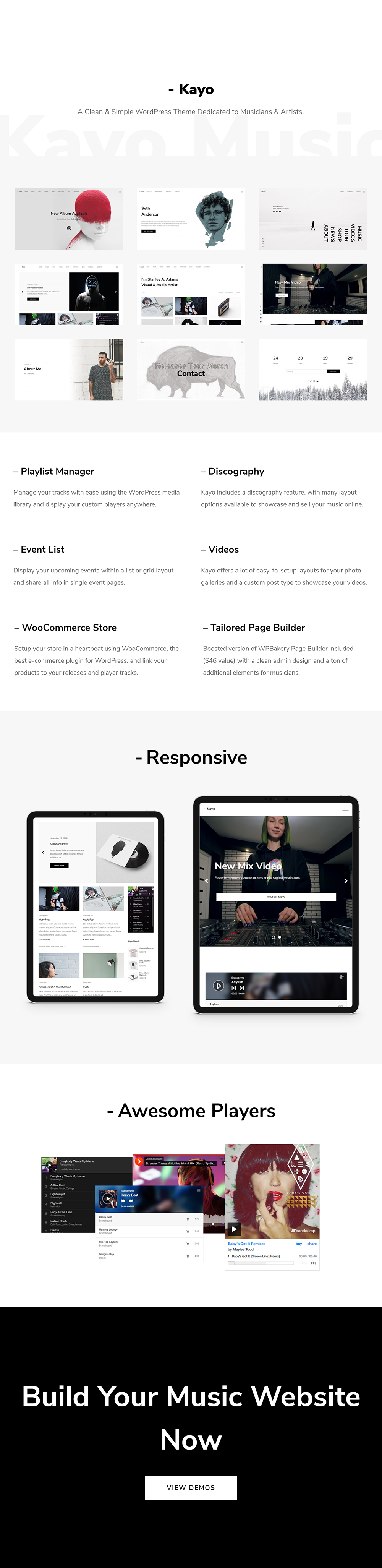 Kayo v1.4.0 – 简单的 WordPress 音乐主题插图(1)