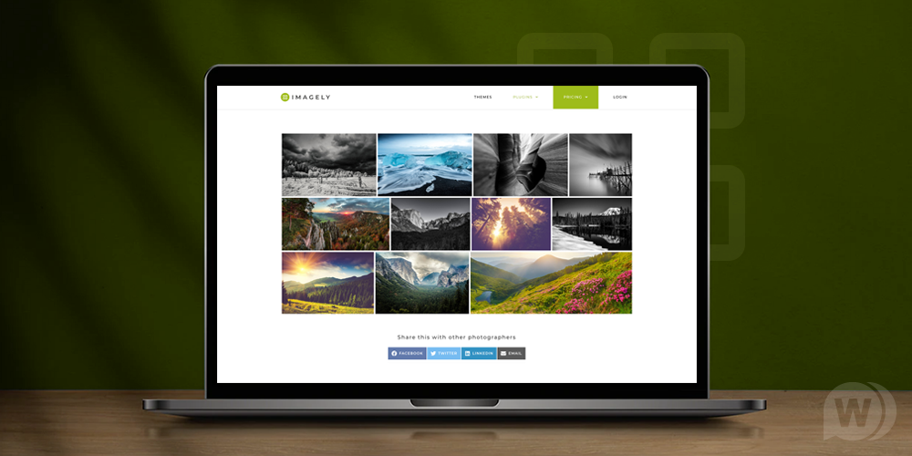 NextGEN Pro Gallery v3.21.0（已汉化） – WordPress 画廊插件