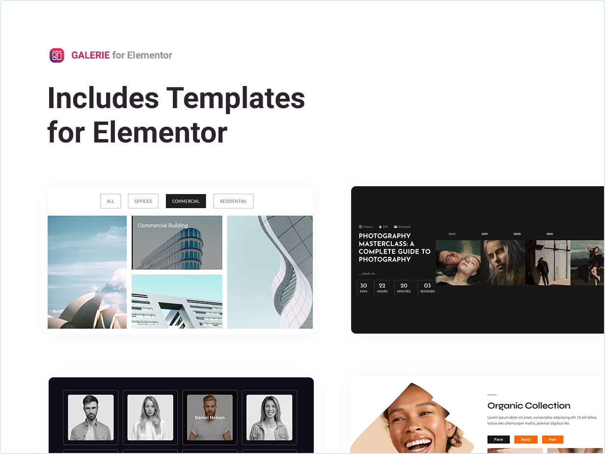 Galerie v1.0 – Elementor 的选项卡式画廊插图(6)