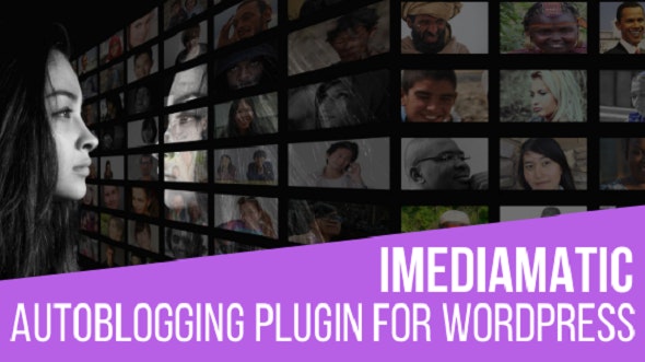 iMediamatic v1.9.0 – WordPress 社交媒体导入/导出插件插图
