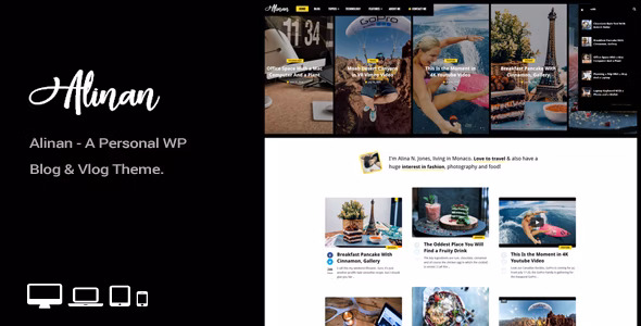 Alinan WP v2.8 – WordPress 个人Vlog博客主题插图