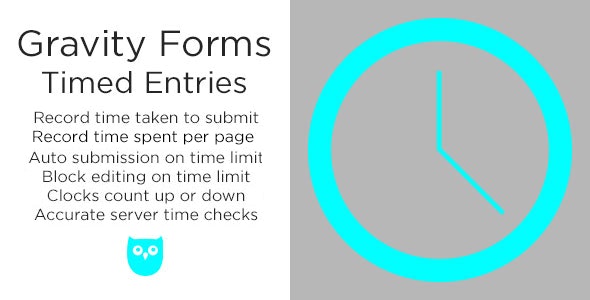Gravity Forms Timed Entries v2.7.4 – Gravity Forms 测验/表单条目计时插件插图