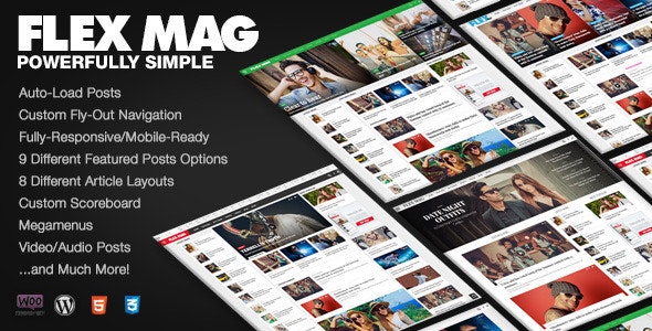 Flex Mag v3.5.2 – WordPress 新闻和杂志主题插图