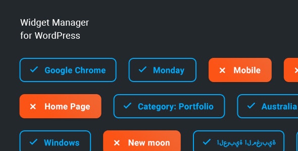 Widget Manager v1.0.2 – WordPress 小部件管理系统插图