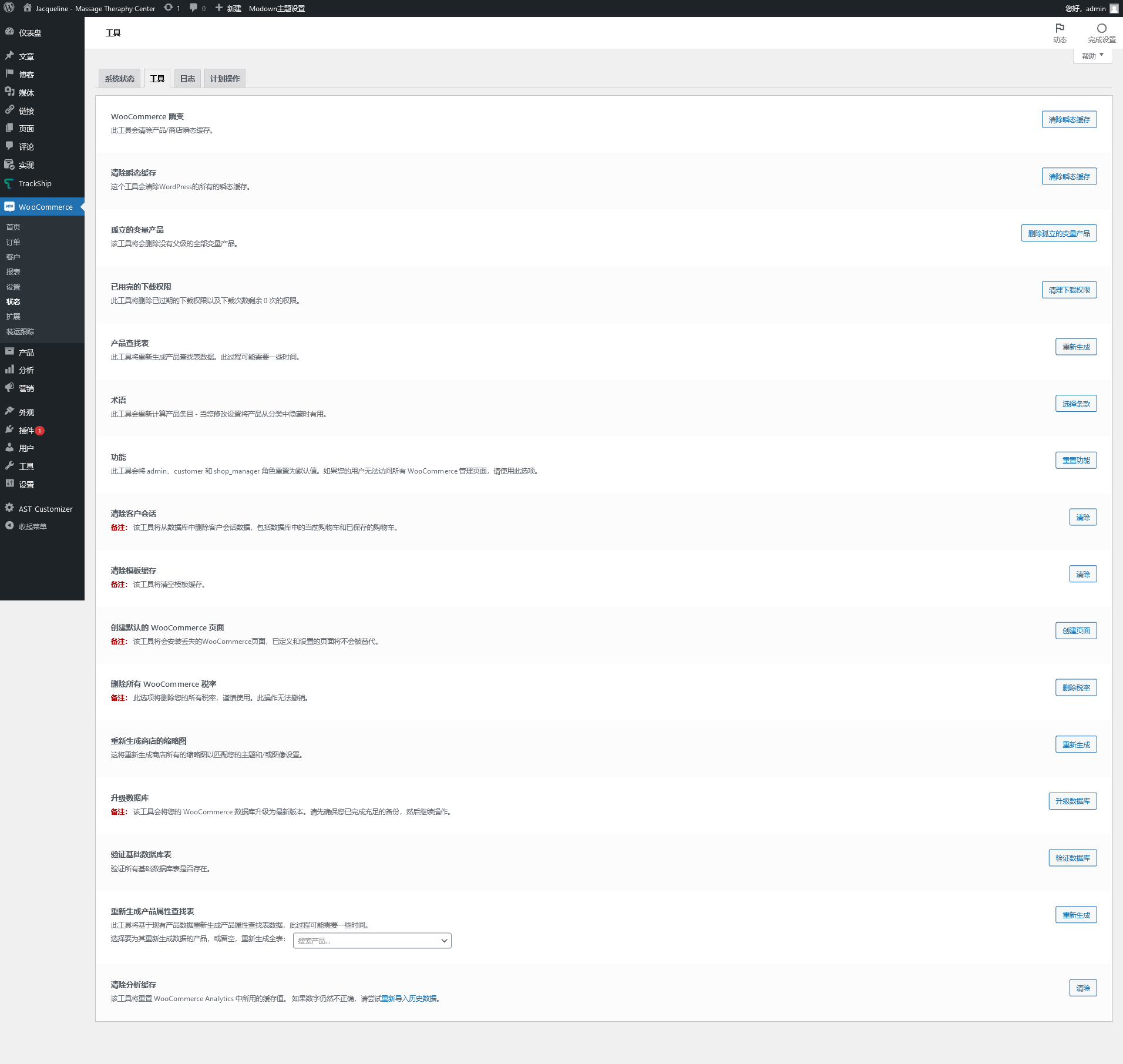 AST Fulfillment Manager ( FORMERLY Advanced Shipment Tracking Pro ) (AST) v4.6.8（已汉化） – WooCommerce订单跟踪物流同步插件插图(4)