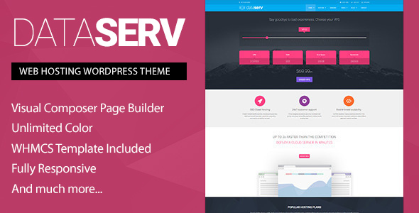 Dataserv v1.1.0 – 专业托管 WordPress 主题插图