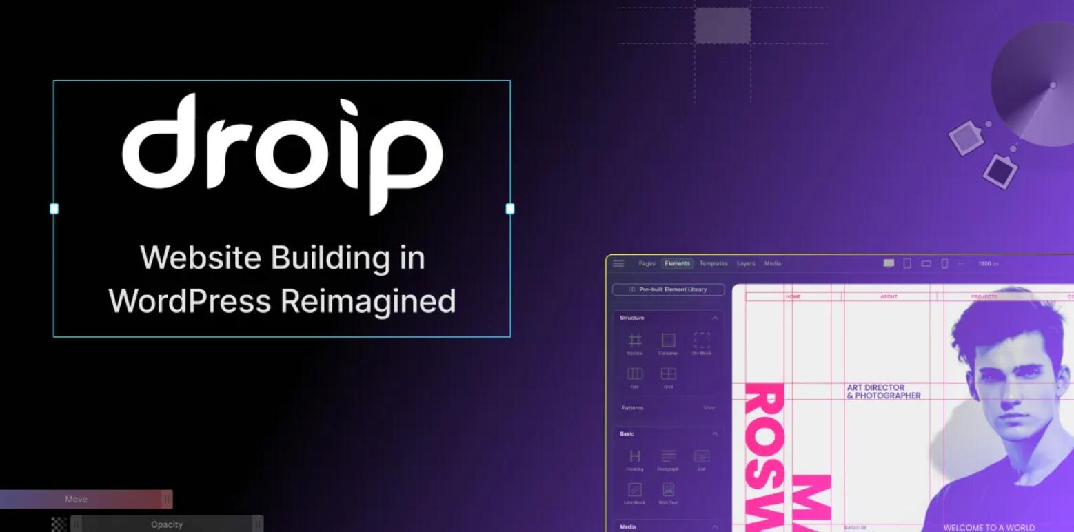 Droip v2.4.2 – No-Code website builder for WordPress