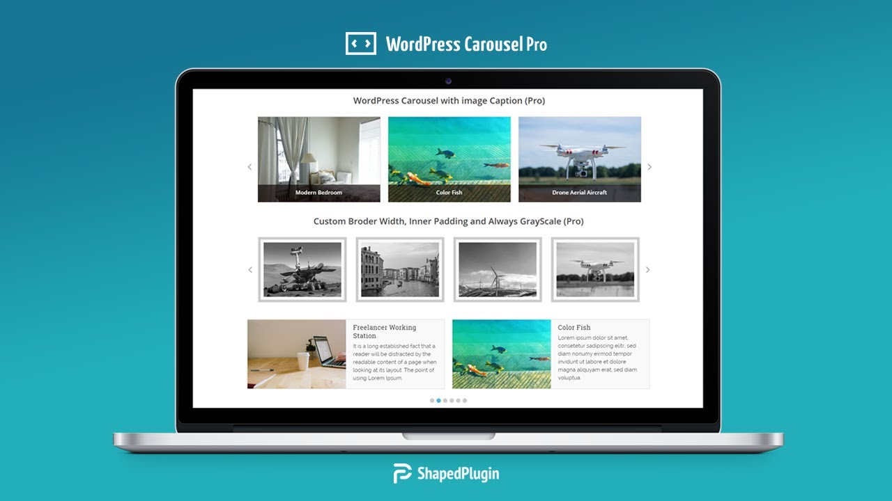 WP Carousel Pro v4.2.0（已汉化） – WordPress旋转木马、滑块和图库插件插图