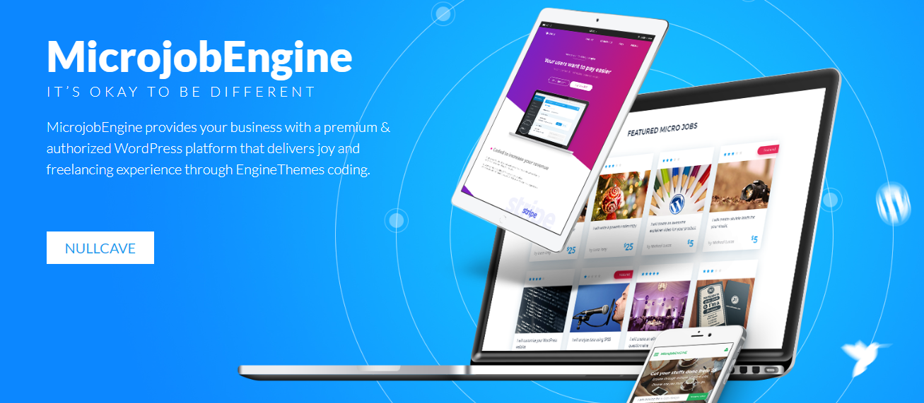 MicrojobEngine Pro v1.5.0 – Service Marketplace WordPress Theme插图