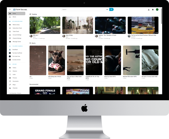Viewshark V4.0 – Complete Youtube Video Script插图
