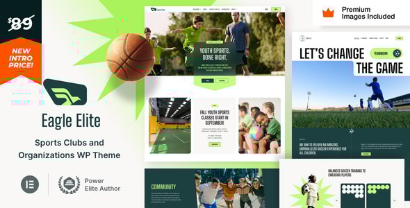 EagleElite v1.0 – 体育俱乐部 WordPress 主题插图