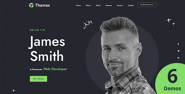 Thames v1.0 – 个人作品集 WordPress 主题插图